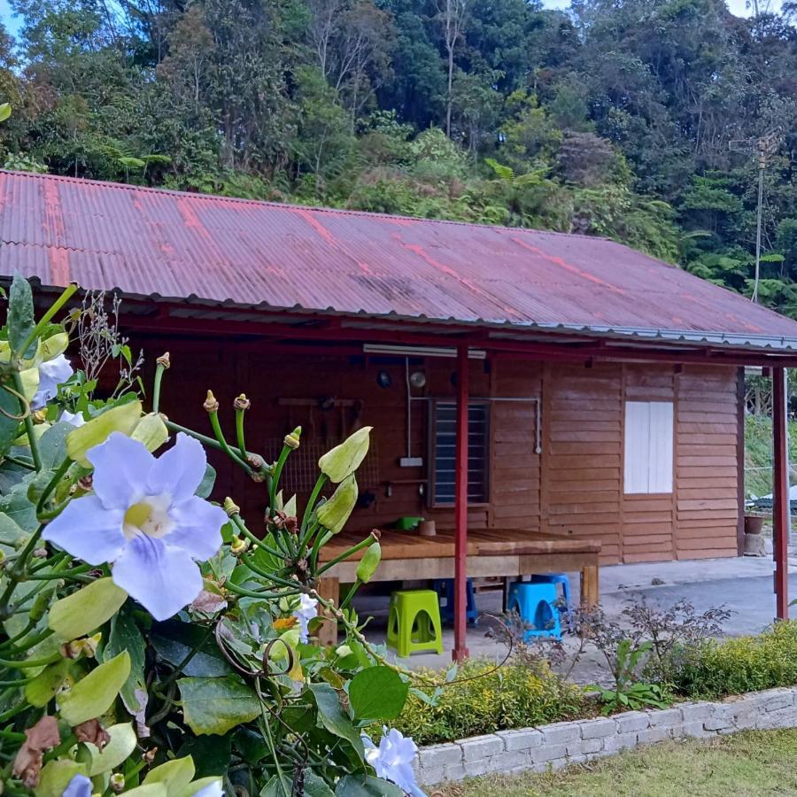The Rustique Guest House Tanah Rata Exterior photo